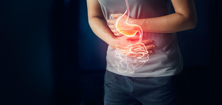 Understanding inflammatory bowel disease (IBD)